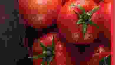 el3rod.com00002-596