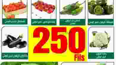 el3rod.com00002-776