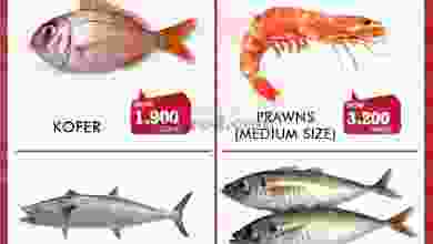 el3rod.com00003-420