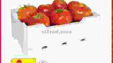 el3rod.com00006-572