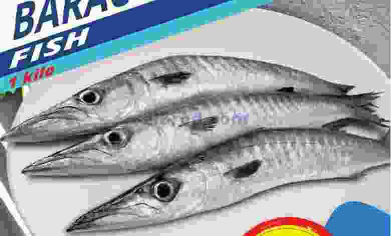 el3rod.com00001-1012