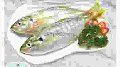 el3rod.com00001-1125