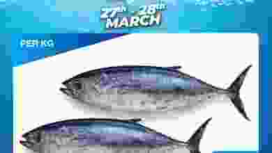 el3rod.com00001-1133