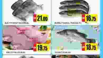 el3rod.com00001-1146