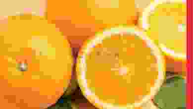 el3rod.com00001-1164