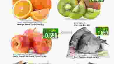 el3rod.com00001-1175