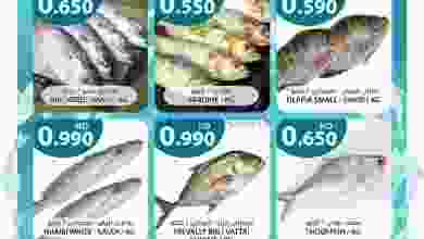 el3rod.com00001-1178
