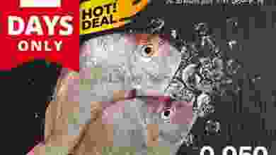 el3rod.com00001-1196