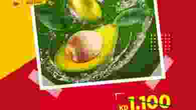 el3rod.com00001-1203