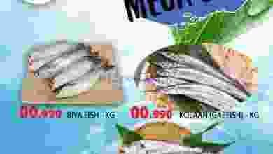 el3rod.com00001-1228