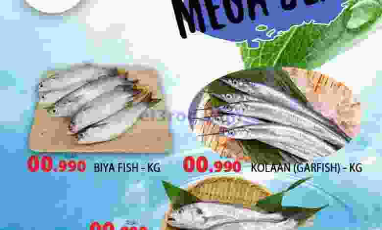 el3rod.com00001-1228
