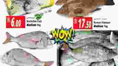 el3rod.com00001-1232