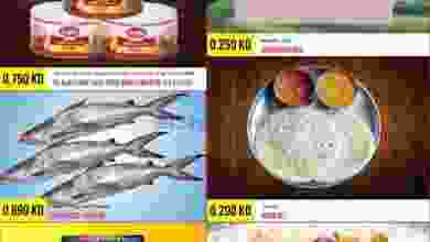 el3rod.com00001-1236