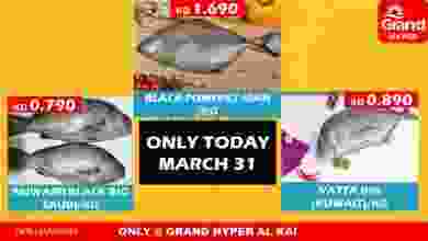 el3rod.com00001-1256