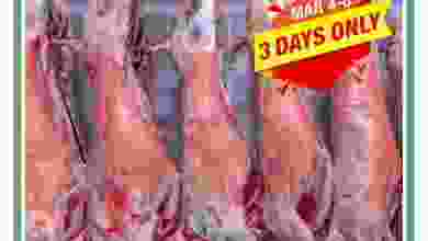 el3rod.com00001-131