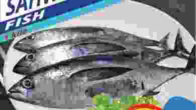 el3rod.com00001-165