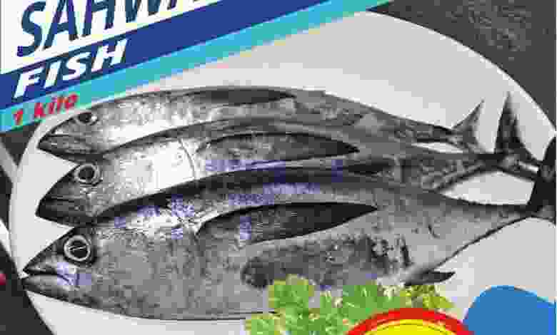 el3rod.com00001-165
