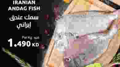 el3rod.com00001-166