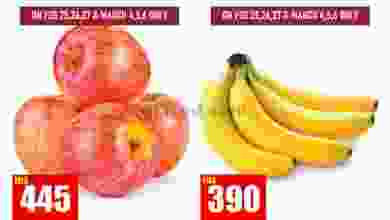 el3rod.com00001-202
