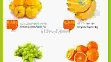 el3rod.com00001-222