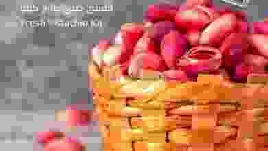 el3rod.com00001-245