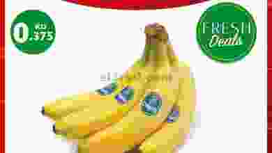 el3rod.com00001-269
