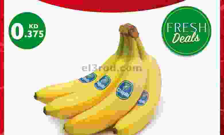 el3rod.com00001-269