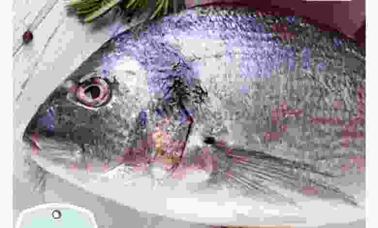 el3rod.com00001-288