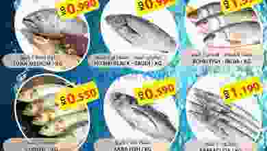 el3rod.com00001-326