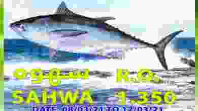 el3rod.com00001-350