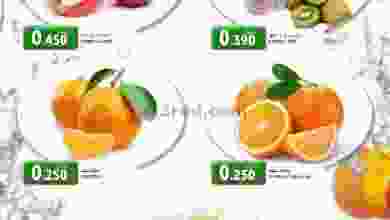 el3rod.com00001-359