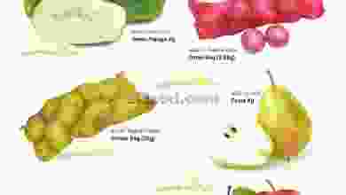 el3rod.com00001-363