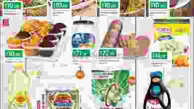 el3rod.com00001-379