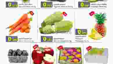 el3rod.com00001-513
