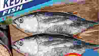 el3rod.com00001-521