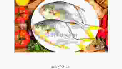el3rod.com00001-543