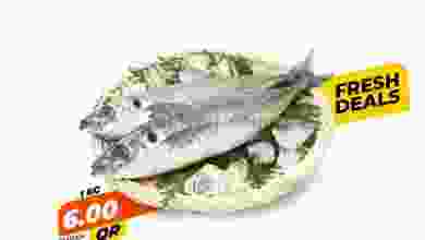 el3rod.com00001-573
