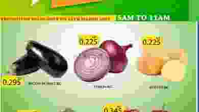 el3rod.com00001-589