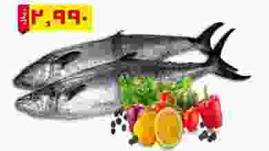el3rod.com00001-610