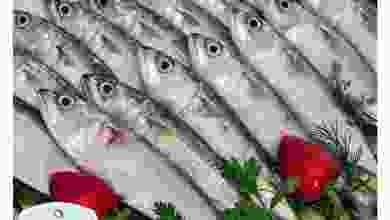 el3rod.com00001-694
