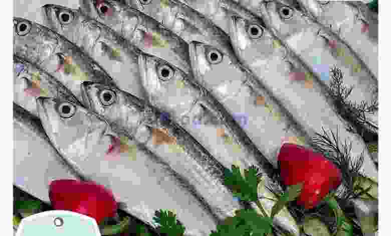 el3rod.com00001-694
