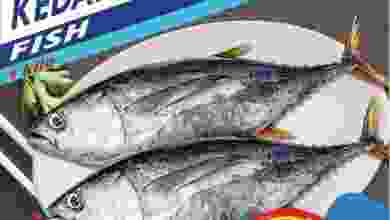 el3rod.com00001-722
