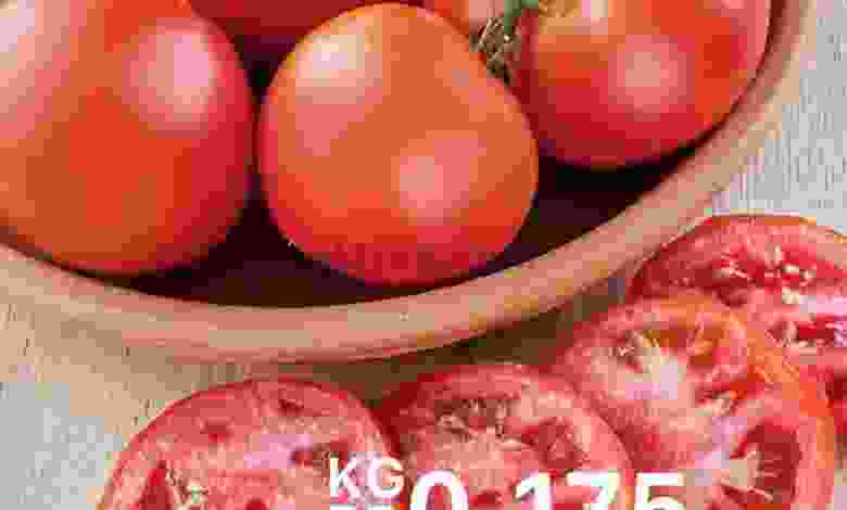 el3rod.com00001-801