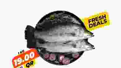 el3rod.com00001-819