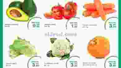 el3rod.com00001-84