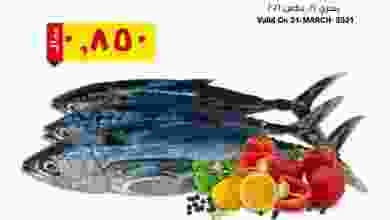 el3rod.com00001-842