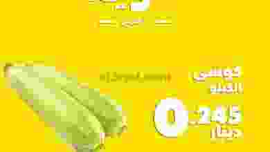 el3rod.com00001-86
