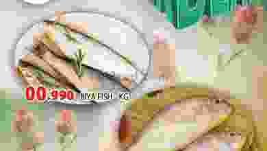 el3rod.com00001-883