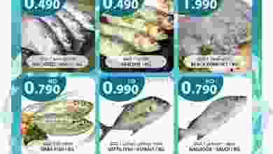 el3rod.com00001-884