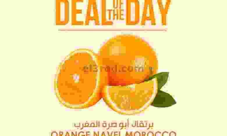 el3rod.com00001-892